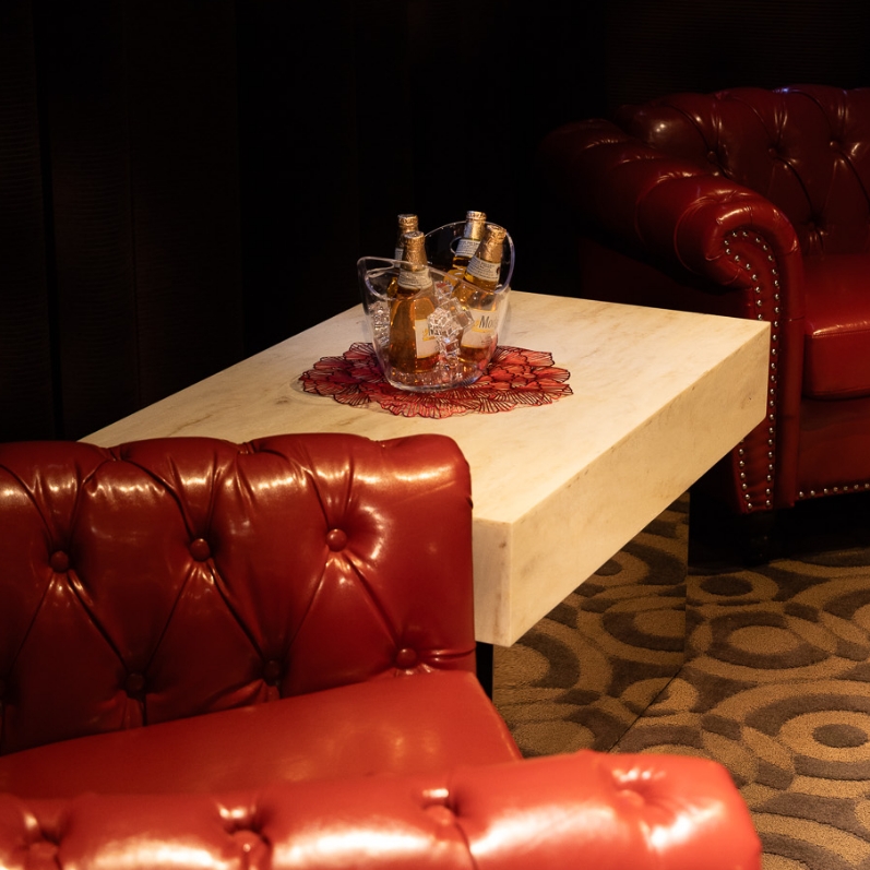 Lounge and coffee table